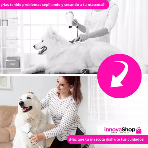 NUEVO CEPILLO SECADOR DE MASCOTA 2 EN 1 + GUIA DIGITAL CONSEJOS PARA PELAJE DE PERROS Y GATOS