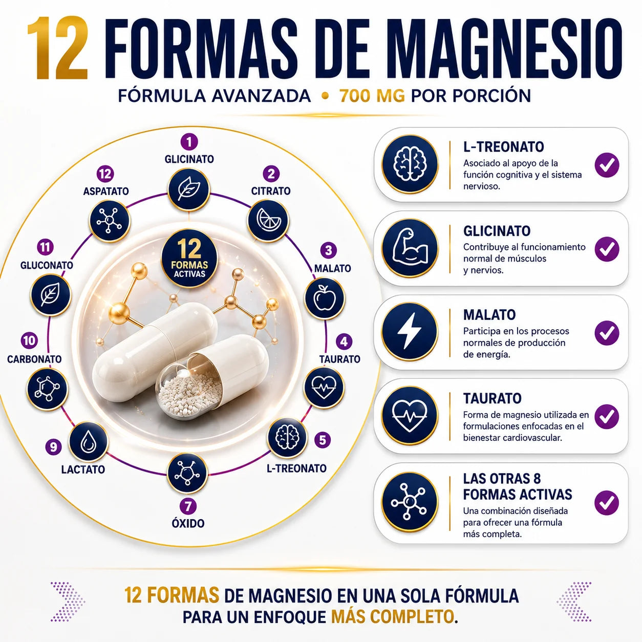 Vital World – MAGNESIO 12 en 1